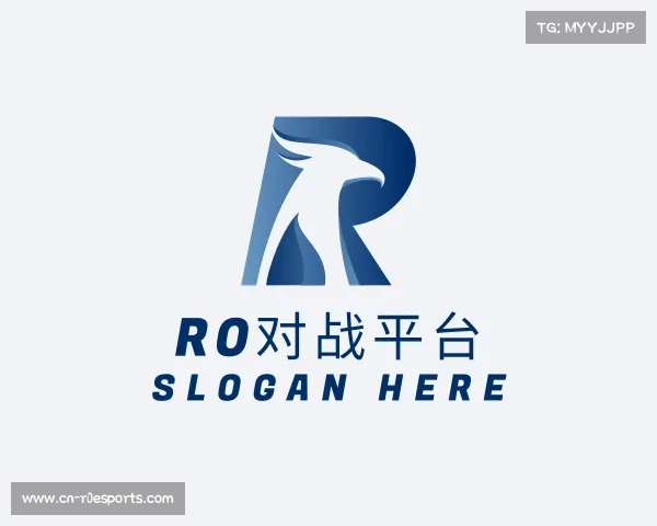 关于r0对战平台